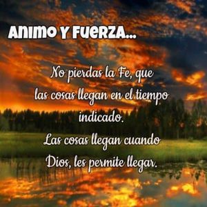 爽⋯躁多水⋯快⋯视频爱酱
