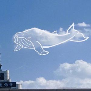 爽⋯躁多水⋯快⋯视频爱酱
