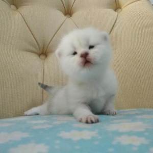 爽⋯躁多水⋯快⋯视频爱酱
